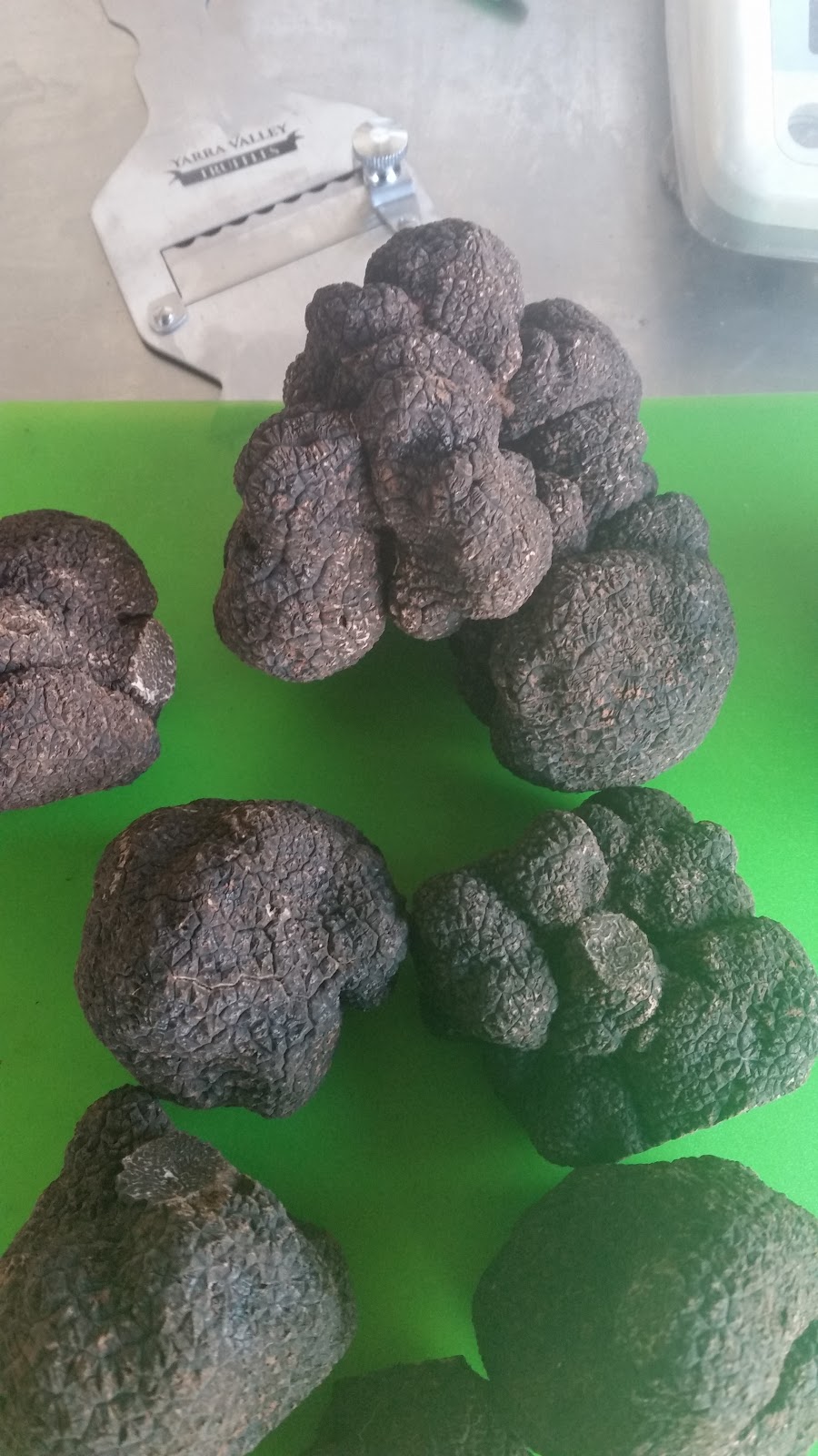 Yarra Valley Truffles | 70 Owens Rd, Woori Yallock VIC 3139, Australia | Phone: 0432 878 396