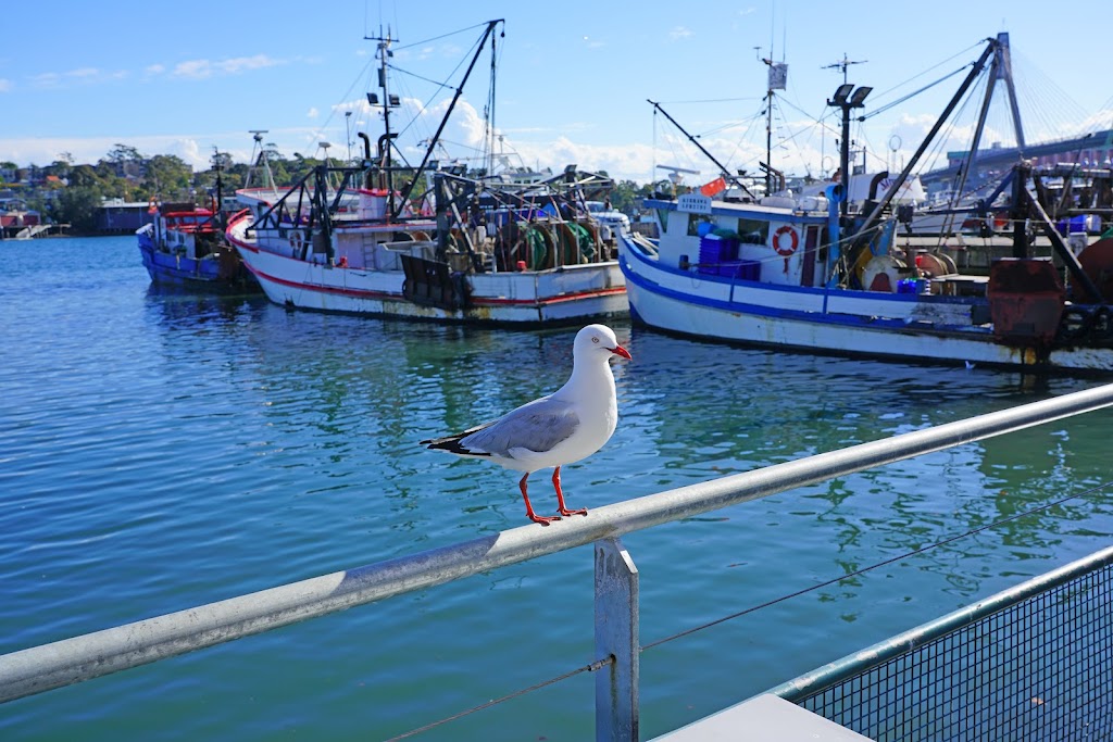 La Provence de Mer | 31 Point Lonsdale Rd, Point Lonsdale VIC 3225, Australia | Phone: 0482 914 549