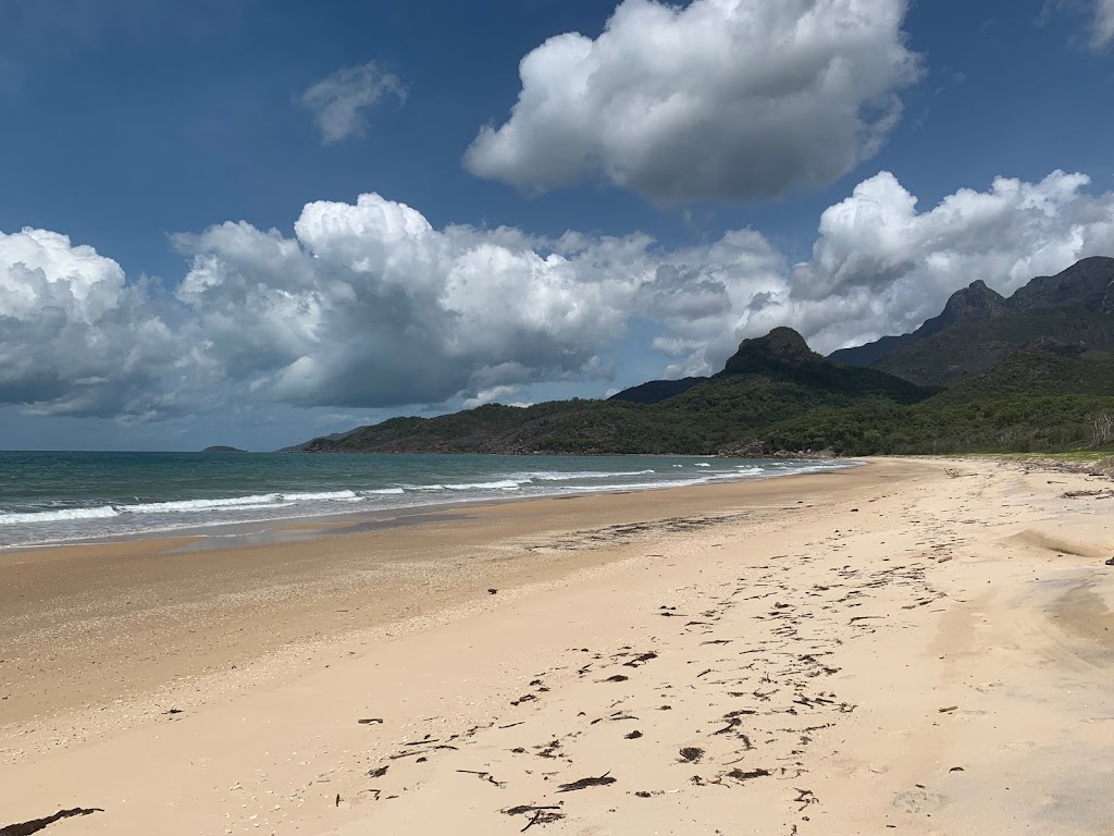 Hinchinbrook Island Ferry | 3 Commercial Drive, Cardwell QLD 4849, Australia | Phone: 0414 869 918