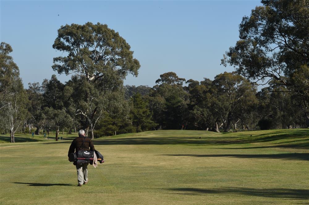 B Performance & Pro Shop | 77 Belvoir Park Rd, Ravenswood VIC 3453, Australia | Phone: (03) 5435 3370