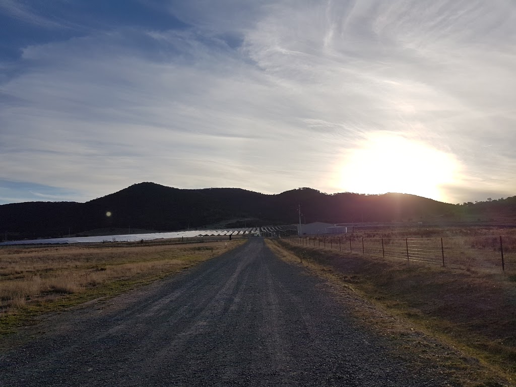 Royalla Solar Farm | Australian Capital Territory 2901, Australia | Phone: 1300 720 547