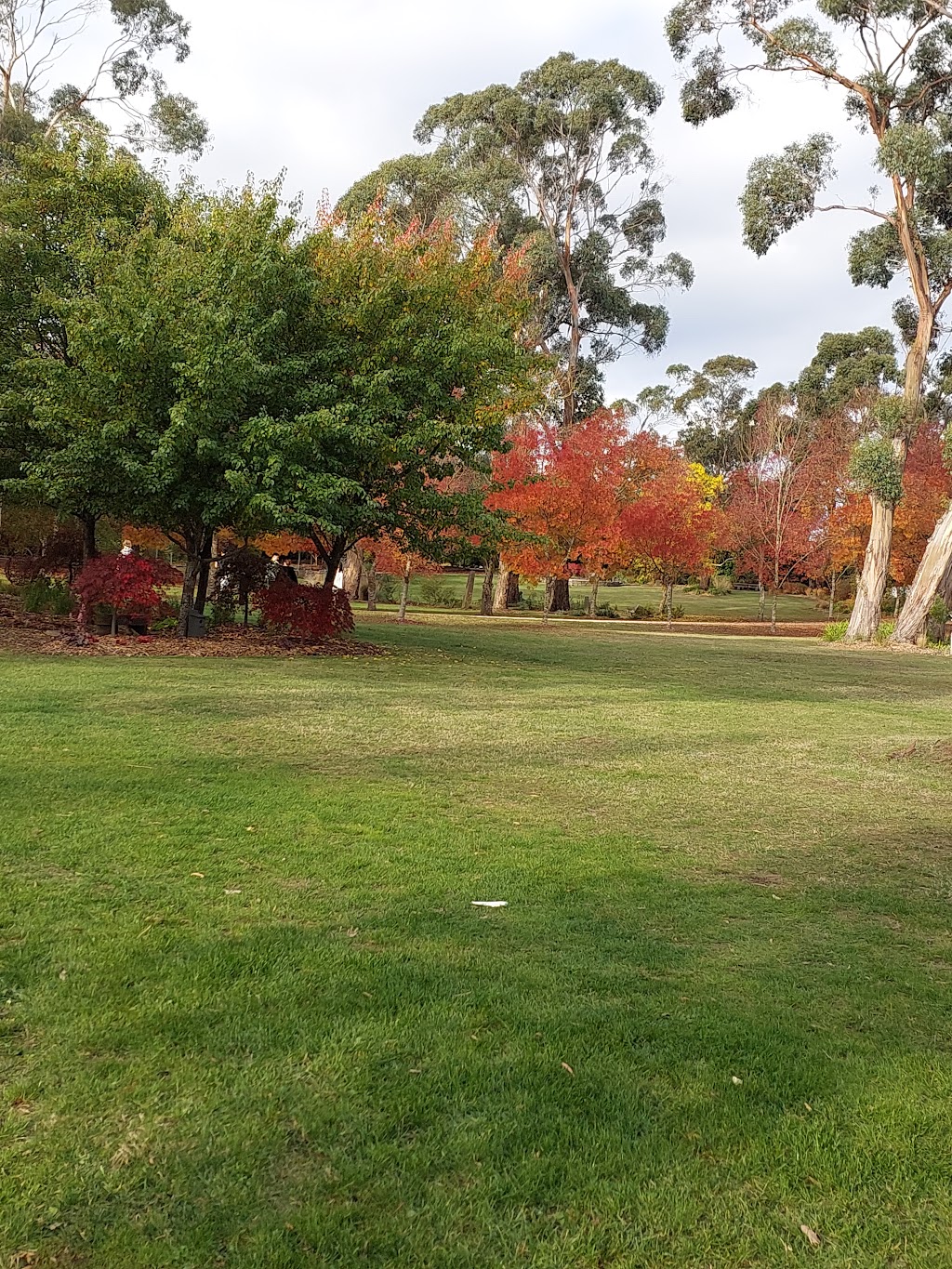 Viewfield Garden | park | 651 Mount Macedon Rd, Mount Macedon VIC 3441, Australia | 0412180388 OR +61 412 180 388