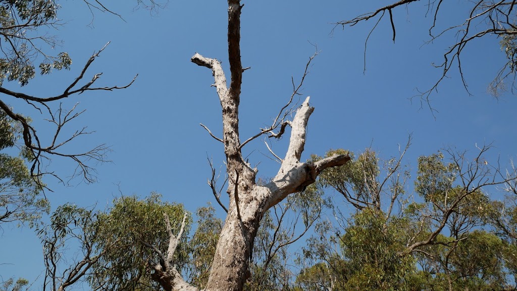 Warrandyte - Kinglake Nature Conservation Reserve | park | Victoria, Australia