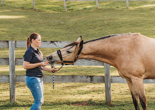 Equalize Equine Therapy | Wilson Ave, Woombye QLD 4559, Australia | Phone: 0407 156 174