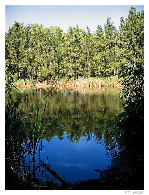 Werrington Lakes | New South Wales 2747, Australia