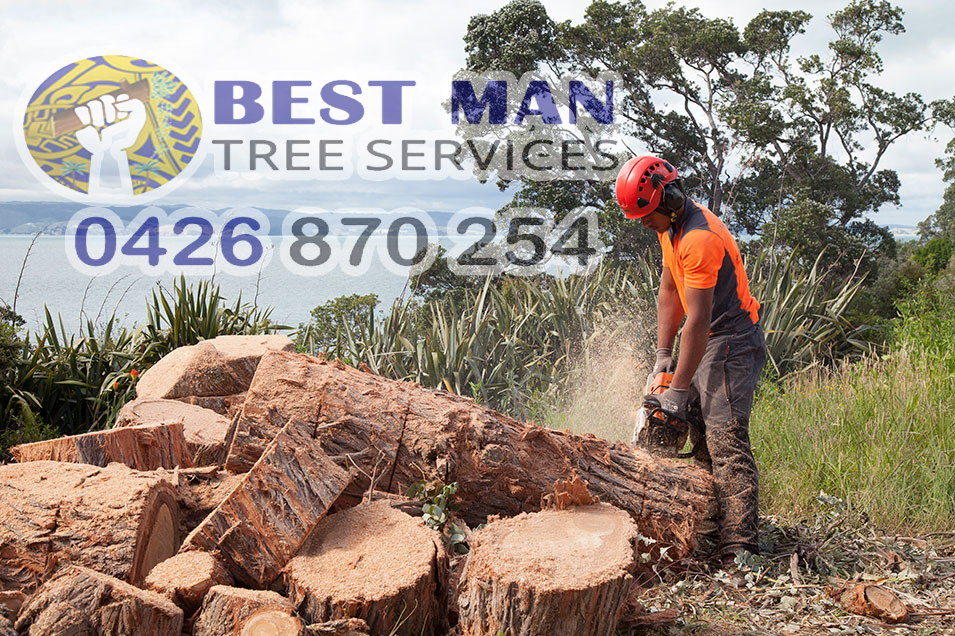 Best Man Tree Services | 3 Roscoe St, Kotara South NSW 2289, Australia | Phone: 0411 520 336