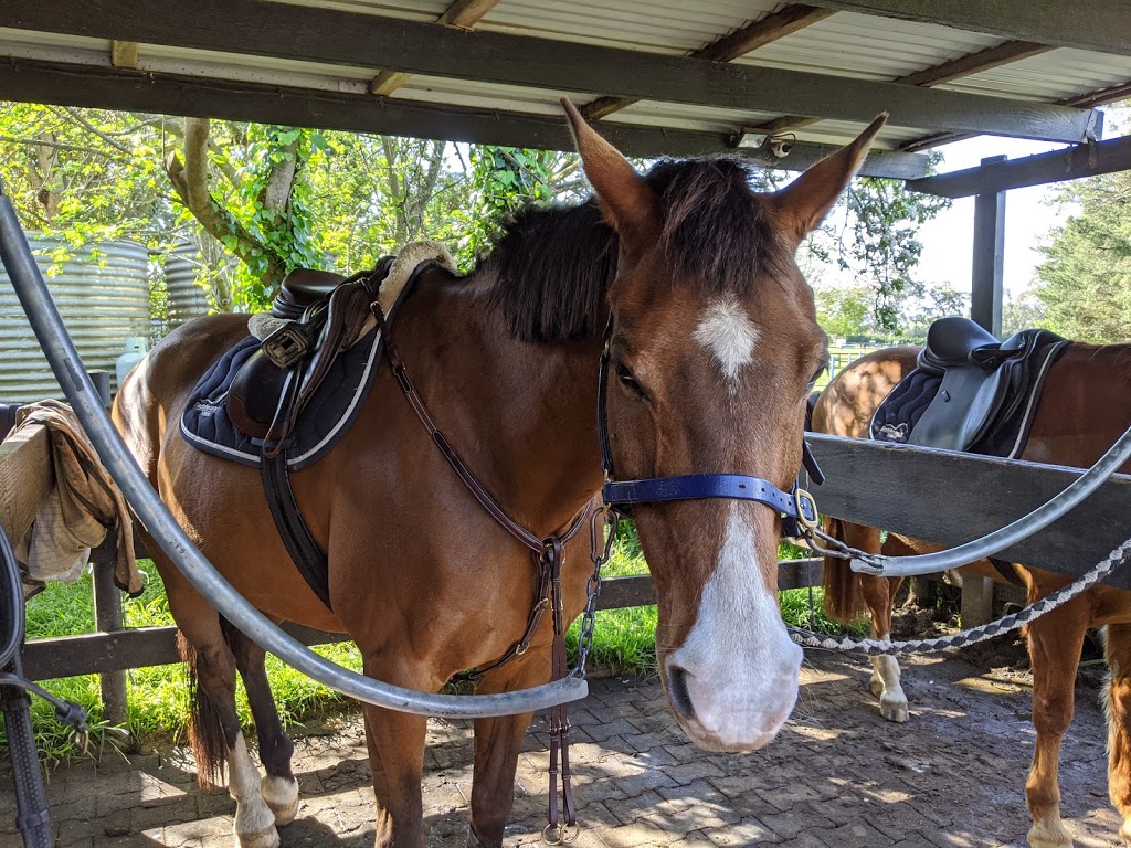 Rosthwaite Farm | Horse riding southern highlands | 268 Yarrawa Rd, Moss Vale NSW 2577, Australia | Phone: 0473 044 034