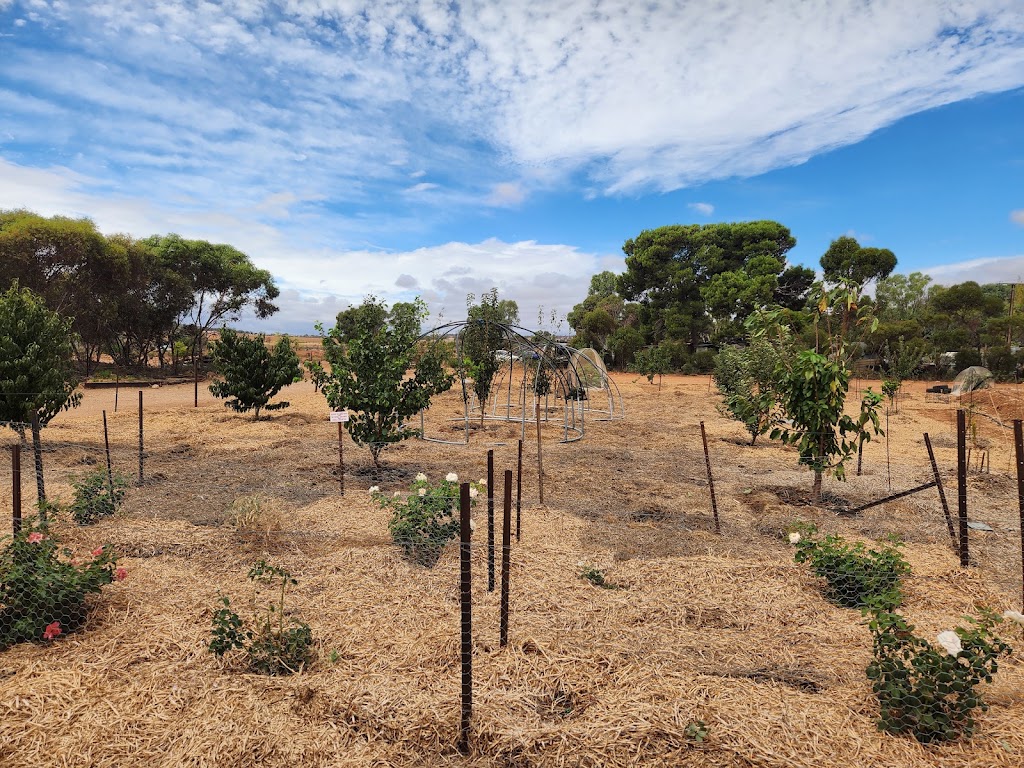 Foliage & Food | LOT 174 Main Rd, Robertstown SA 5381, Australia | Phone: 0439 707 339