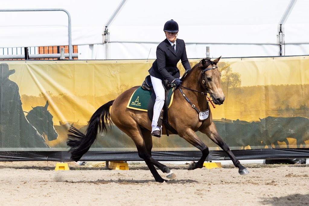 C.H. Horsemanship | Elizabeth Dr, Badgerys Creek NSW 2555, Australia | Phone: 0499 790 011
