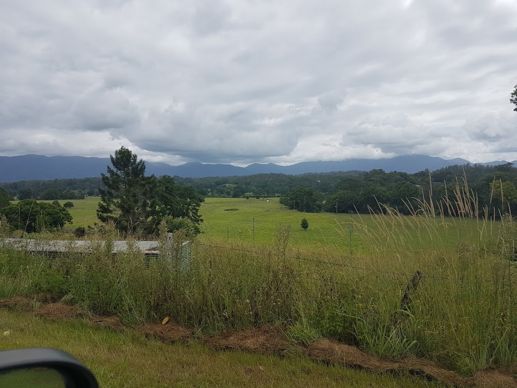 Piggott Park | Bellingen NSW 2454, Australia