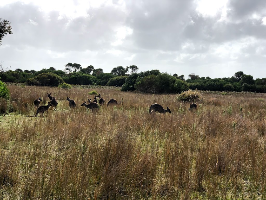 Prom Wildlife Walk | Wilsons Promontory Rd, Wilsons Promontory VIC 3960, Australia | Phone: 13 19 63