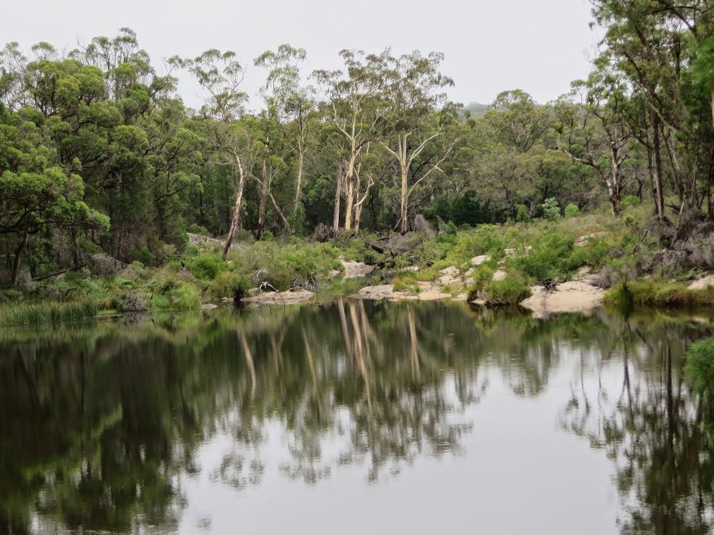 Cypress-pine campground | campground | Morgans Gully Track, Boorook NSW 2372, Australia | 0267364298 OR +61 2 6736 4298