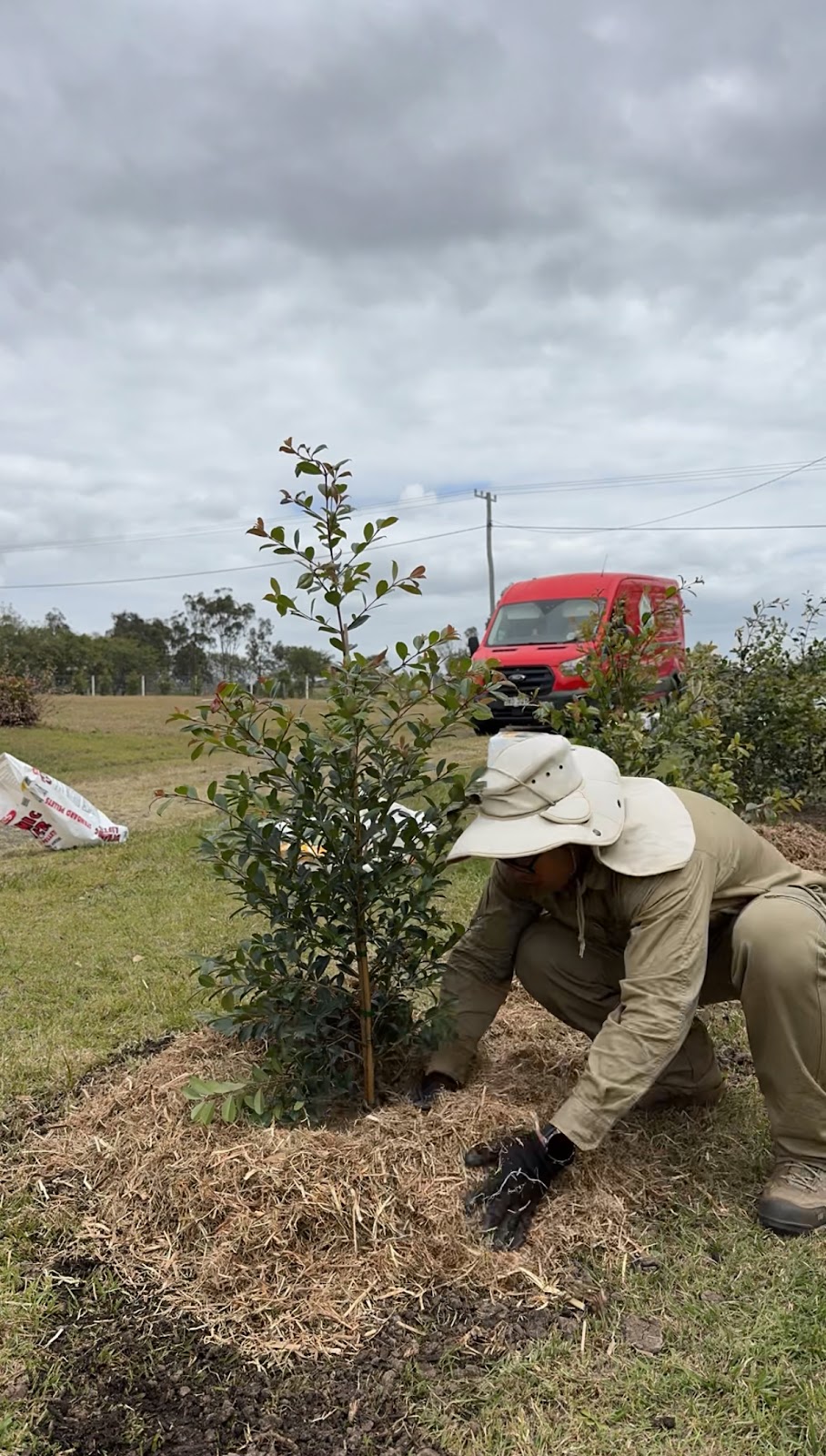 Lou’s Gardening & Landscaping Services | 15 Challenge Ave, Kensington Grove QLD 4341, Australia | Phone: 0424 890 129