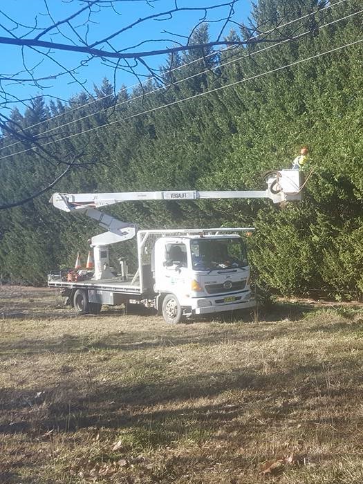 GTS TREE SERVICES pty ltd | 40 Robinson St, Goulburn NSW 2580, Australia | Phone: 0411 551 961