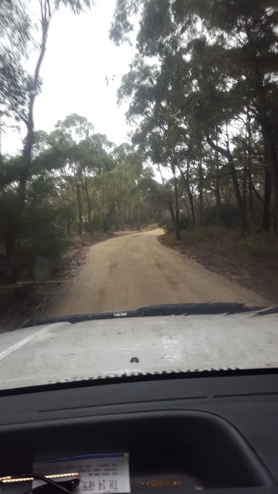 Termeil State Forest | park | Termeil NSW 2539, Australia