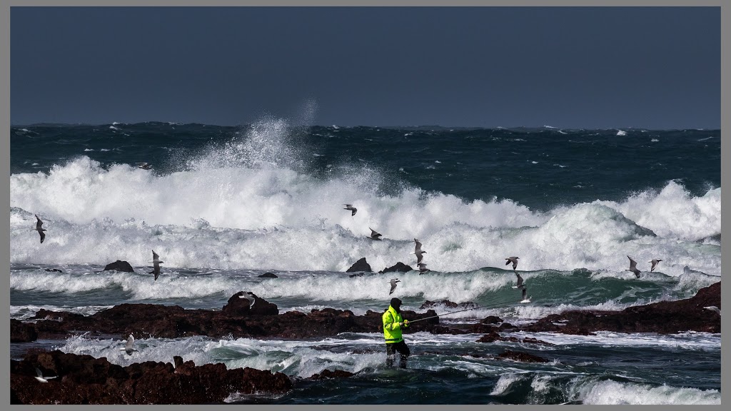 Kitty Miller Bay - car park | parking | South End of Carpark,, Kitty Millers Bay Rd, Ventnor VIC 3922, Australia