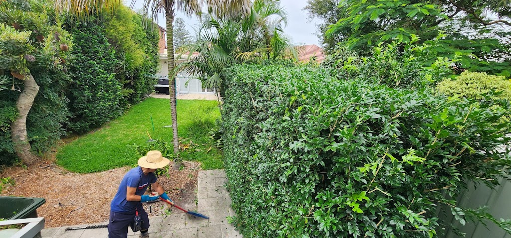 Salomon gardens | 2 Towner Gardens, Pagewood NSW 2035, Australia | Phone: 0430 049 139