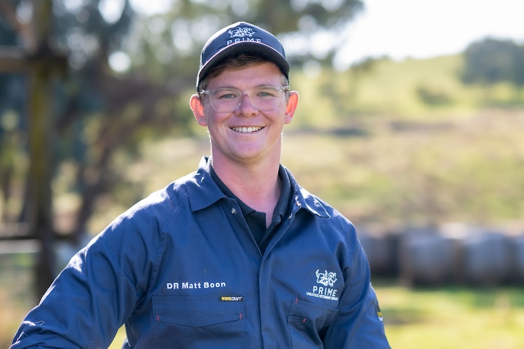 Prime Livestock Veterinary Services | 2 Parwanoff St, Mansfield VIC 3722, Australia | Phone: 0447 496 428