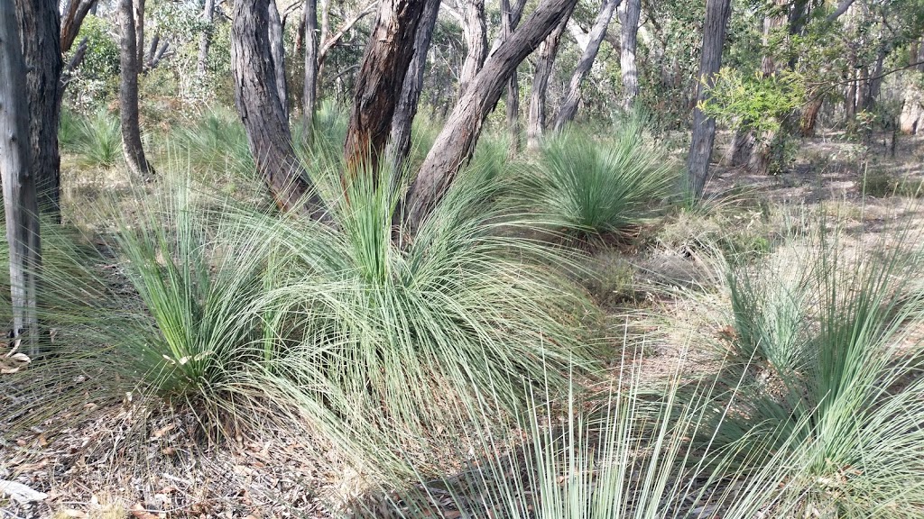 Bert Boardman Recreation Reserve | Steiglitz VIC 3331, Australia | Phone: 13 19 63