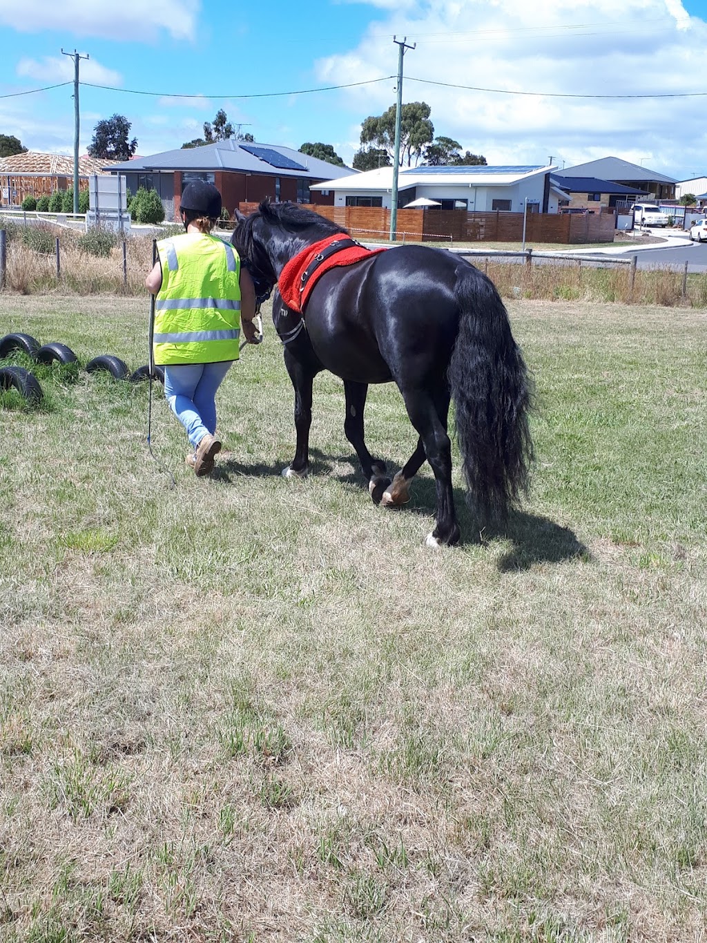 Marshdale Farm | 31 Bridges Rd, Pawleena TAS 7172, Australia | Phone: 0408 653 693