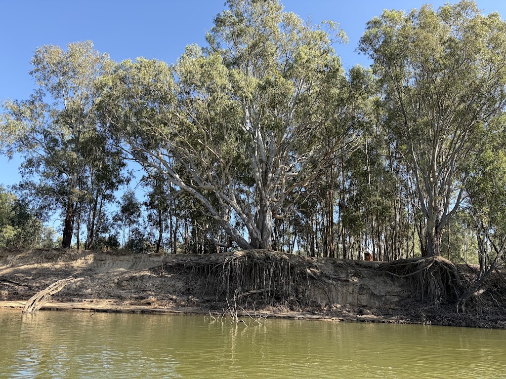 Murray SUP | Beach, Tocumwal NSW 2714, Australia | Phone: 0467 725 032