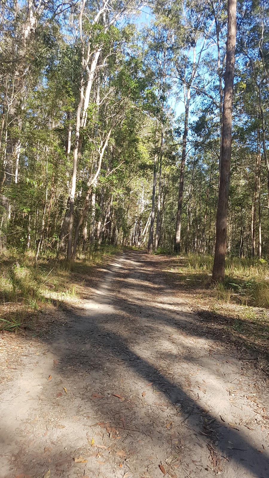 Tuchekoi National Park | Cooran QLD 4569, Australia