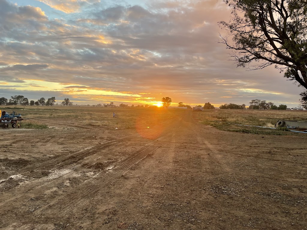 Tatura Farms | 1660 Pogue Rd, Tatura VIC 3616, Australia | Phone: 0490 078 930 Tatura Farms | 1660 Pogue Rd, Tatura VIC 3616, Australia | Phone: 0490 078 930
