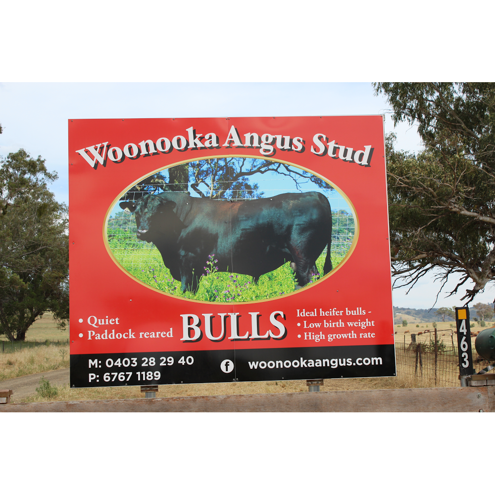 Woonooka Angus Stud | food | "Springhill", 463 Nundle Rd, Nemingha NSW 2340, Australia | 0403282940 OR +61 403 282 940