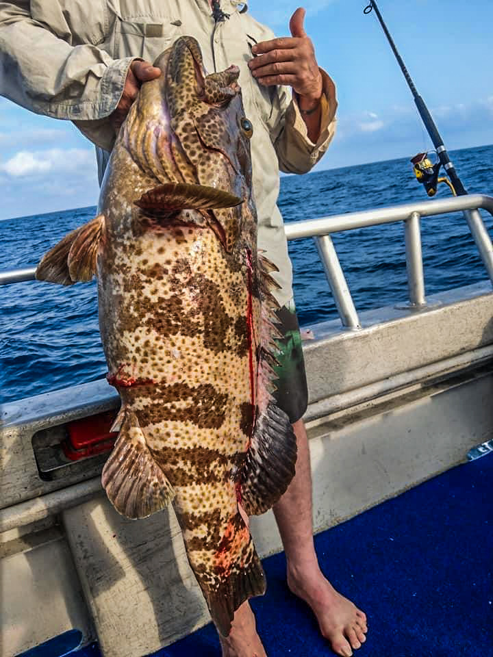 Paradise Fishing Charters Gold Coast | 1 Muriel Henchman Dr, Main Beach QLD 4217, Australia | Phone: 0403 531 428