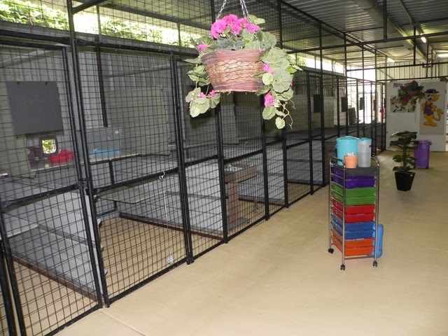 Park Ridge Cat Resort | veterinary care | 3994 Mount Lindesay Hwy, Park Ridge South QLD 4125, Australia | 0732970275 OR +61 7 3297 0275