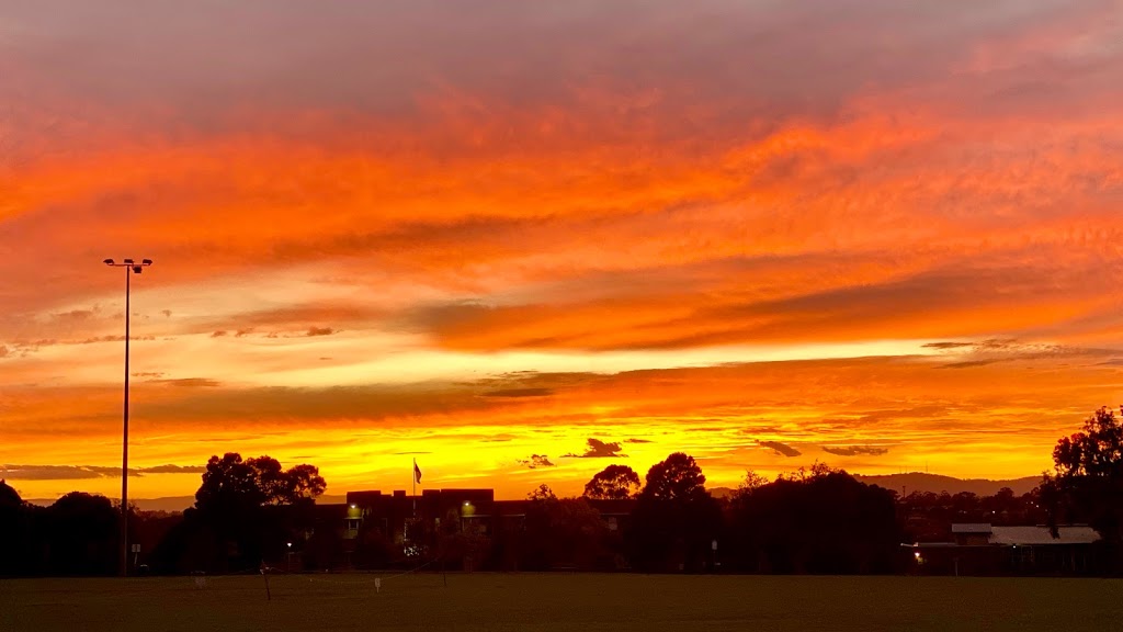 Mont Albert Reserve | park | Mont Albert North VIC 3129, Australia