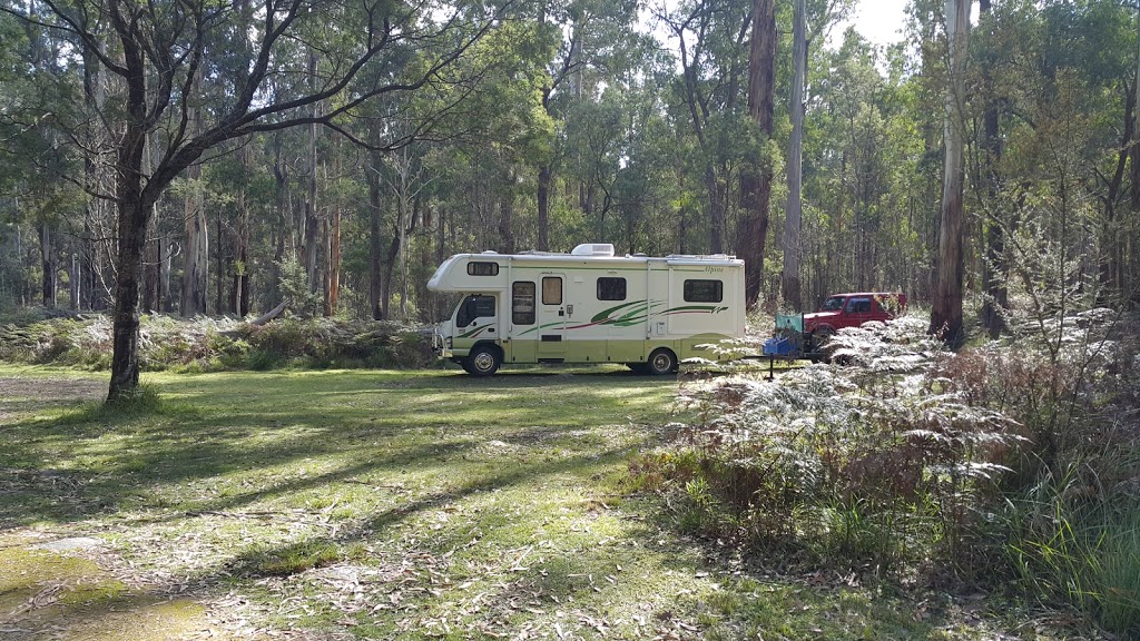 Waratah Gully campground | campground | Wog Way, Paddys Flat NSW 2632, Australia | 0264585900 OR +61 2 6458 5900