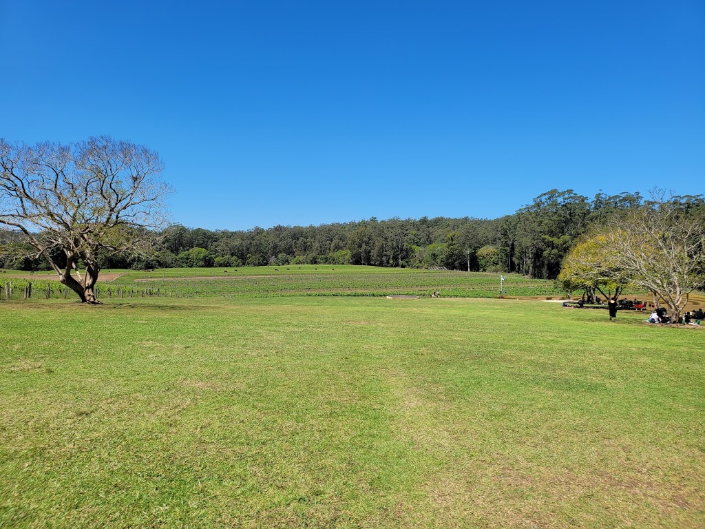 Bago Maze and Winery | park | Milligans Rd, Wauchope NSW 2446, Australia | 0265857099 OR +61 2 6585 7099