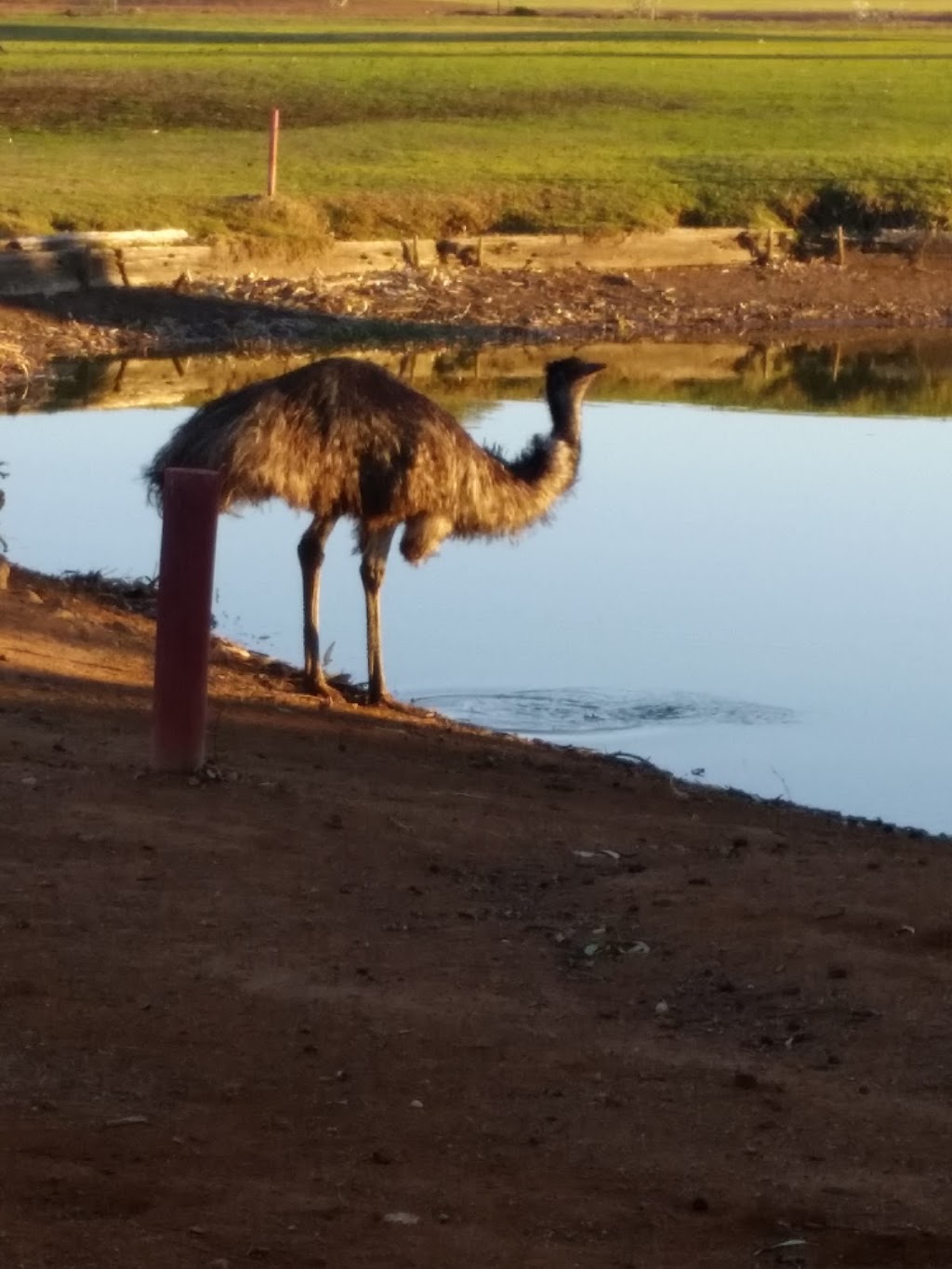 Broken Hill Golf & Country Club | 1 Racecourse Rd, Broken Hill NSW 2880, Australia | Phone: (08) 8087 9099