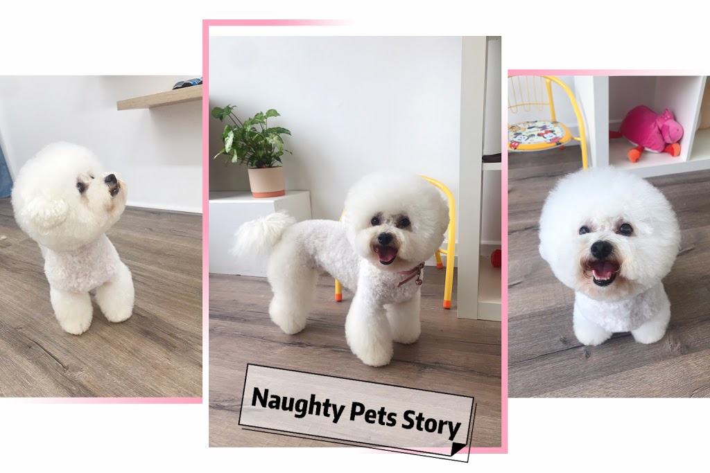 Naughty Pets Story | 45 Vannam Dr, Ashwood VIC 3147, Australia | Phone: (03) 9807 5888