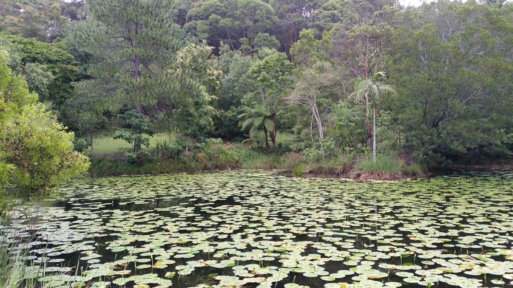 Jinangong Nature Reserve | park | Billinudgel NSW 2483, Australia