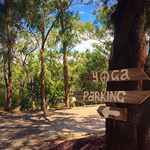 Metta Yoga | 7 Yarra Braes Rd, Eltham VIC 3095, Australia | Phone: 0407 991 630