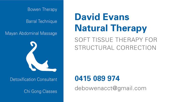 Central Tablelands Natural Therapies - Bowen Therapy, Chi Gong,  | 117 Lambert St, Bathurst NSW 2795, Australia | Phone: 0415 089 974