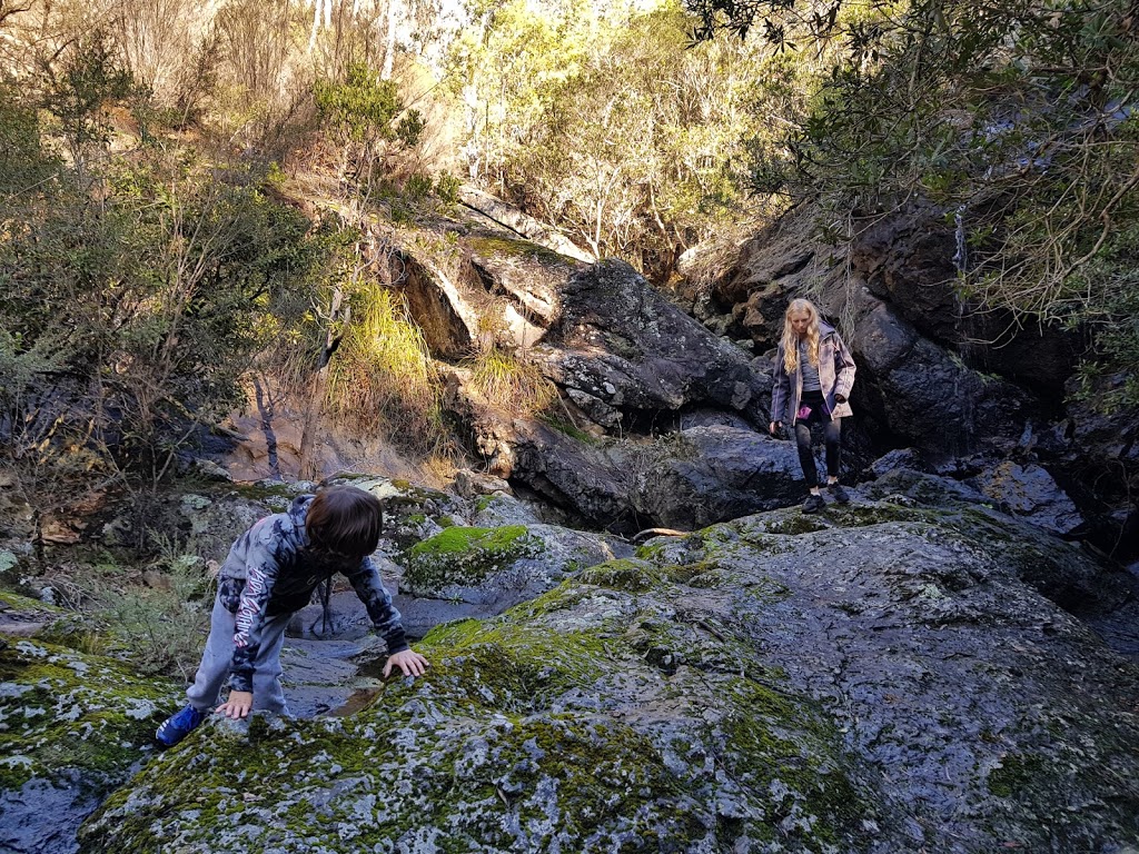 Spring Creek Falls Walk | park | Buchan VIC 3885, Australia