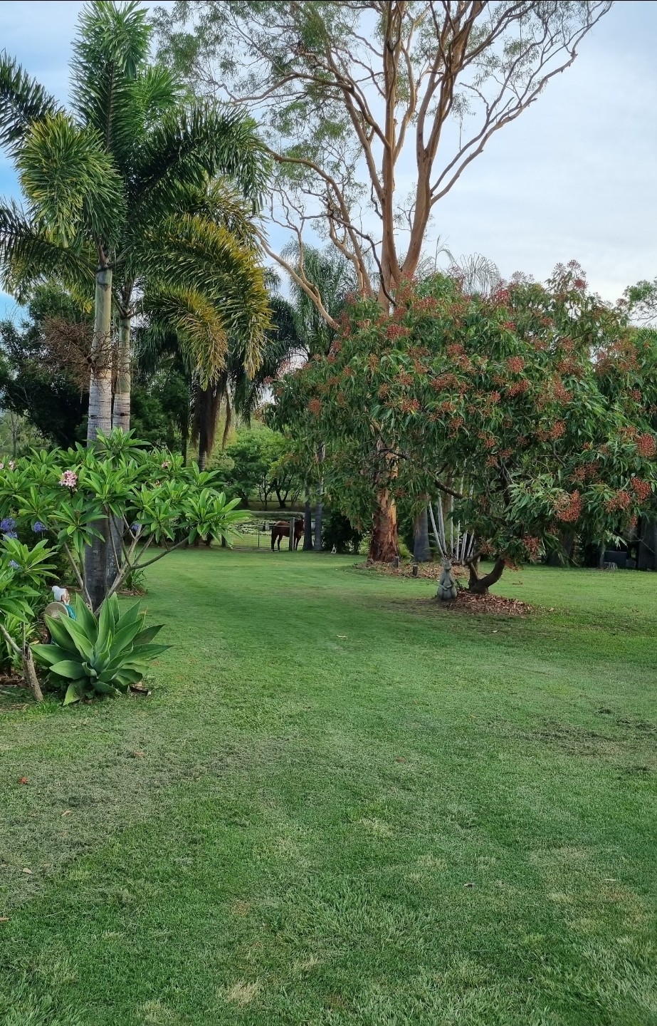 Millsy’s Lawn Maintenance | 44 Amy St, Donnybrook QLD 4510, Australia | Phone: 0457 040 411