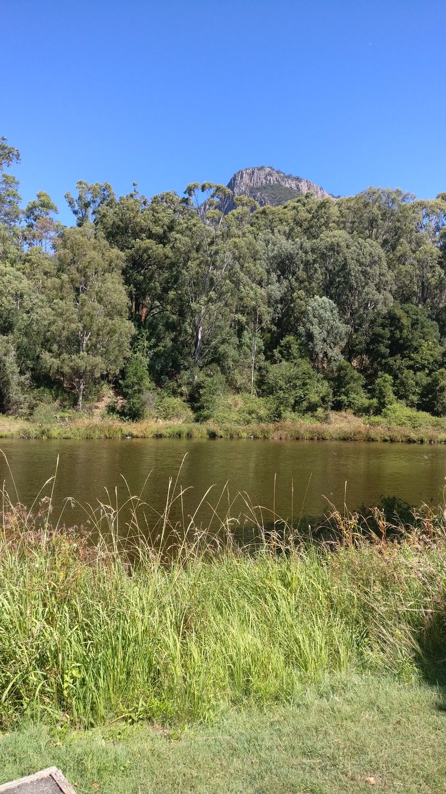 Cotswold Track - Mount Maroon Hike | park | Cotswold Rd, Maroon QLD 4310, Australia