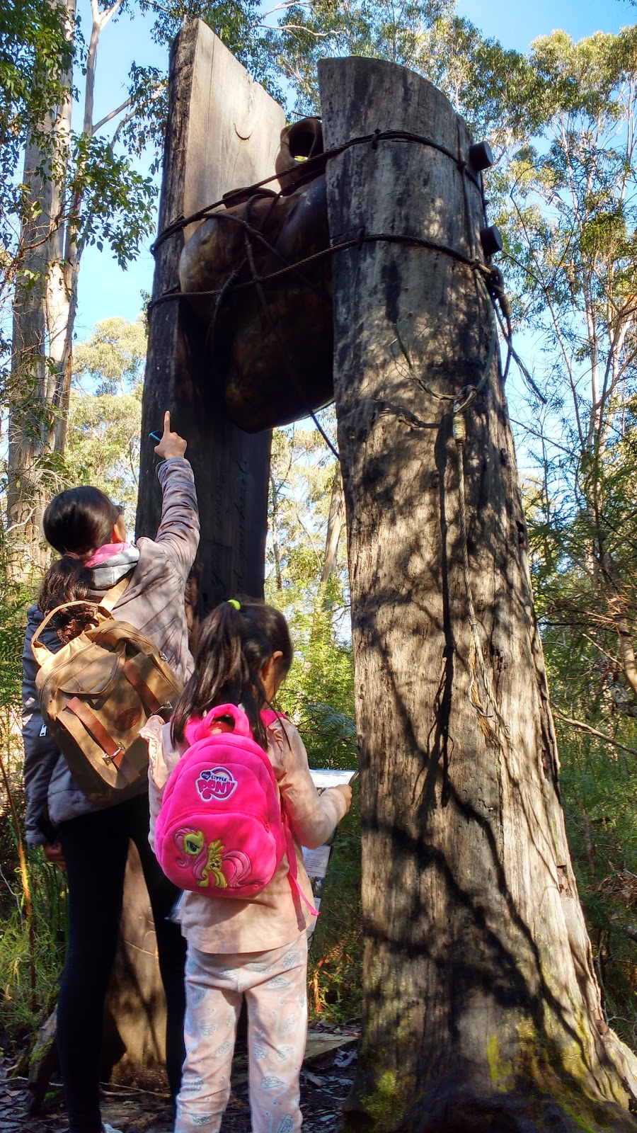 Northcliffe Visitor Centre | Muirillup Rd, Northcliffe WA 6262, Australia | Phone: (08) 9776 7203