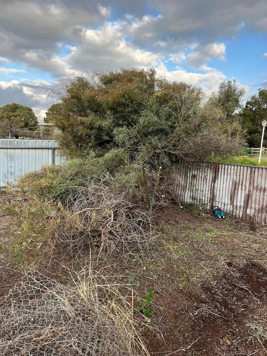 Total Tree Removal | 89 Bruce St, Eudunda SA 5374, Australia | Phone: 0459 526 649