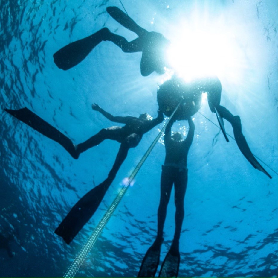 Waterlogged Freedivers |  | 38 Dominic Dr, Batehaven NSW 2536, Australia | 0402655513 OR +61 402 655 513