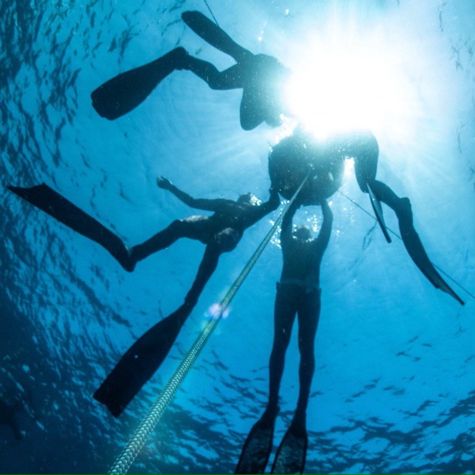 Waterlogged Freedivers | 38 Dominic Dr, Batehaven NSW 2536, Australia | Phone: 0402 655 513