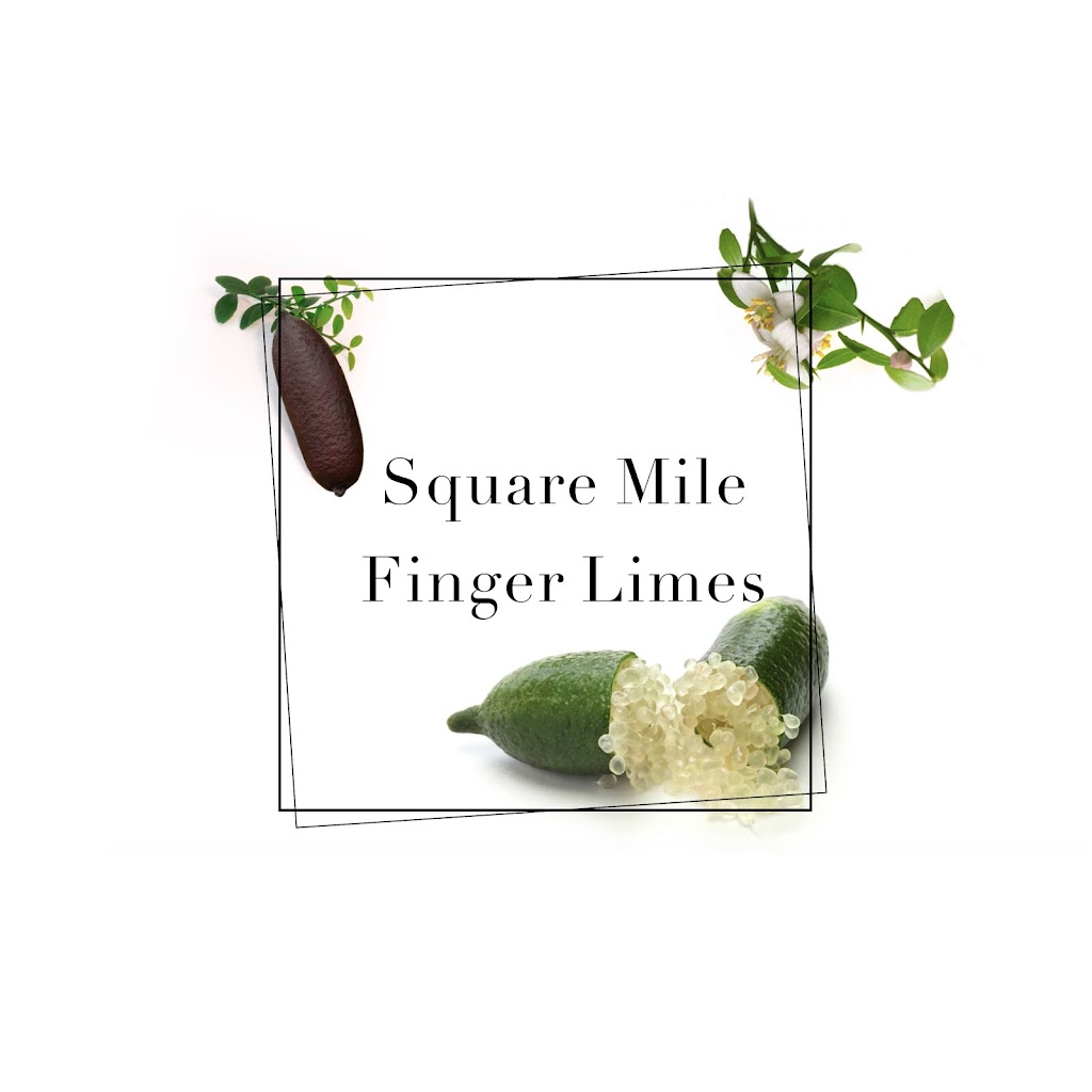 Square Mile Finger Limes | Square Mile, 710 Mount Pleasant Rd, Dalby QLD 4405, Australia | Phone: 0428 768 008