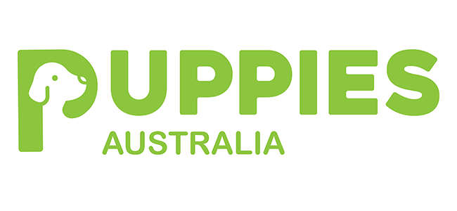 Puppies Australia | 93 Barkers Rd, Willung VIC 3847, Australia | Phone: 0437 200 182