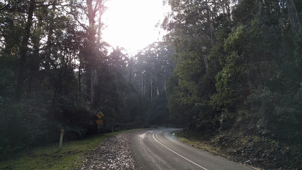 Mount Donna Buang and Mt Victoria Hiking Trail | 1140 Donna Buang Rd, Warburton VIC 3799, Australia