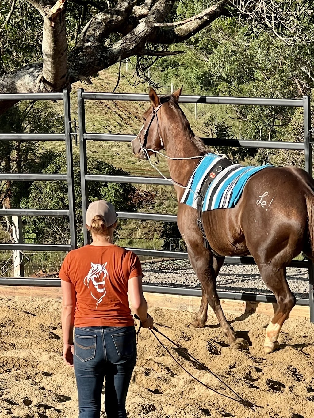 Watson Equine | 30 Doomben Ct, Beechmont QLD 4211, Australia | Phone: 0432 891 400