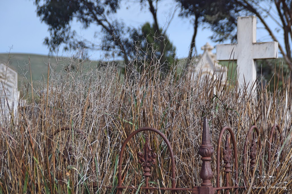 Sanderston Cemetery Reserve | cemetery | 88 Three Chain Rd, Sanderston SA 5237, Australia